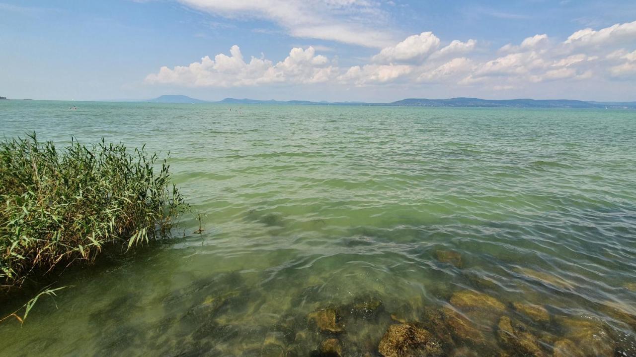 Napfeny Resort Exclusive 巴拉通雷勒 外观 照片